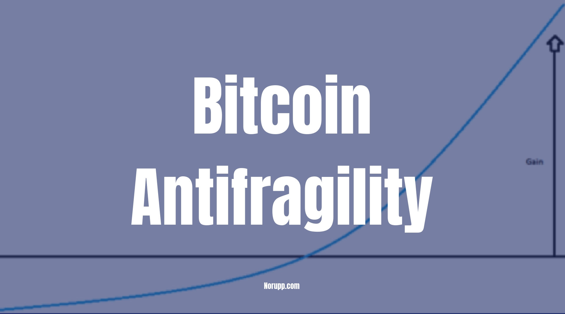 Bitcoin antifragility norupp